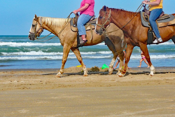 Horseback Riding South Padre Island picture