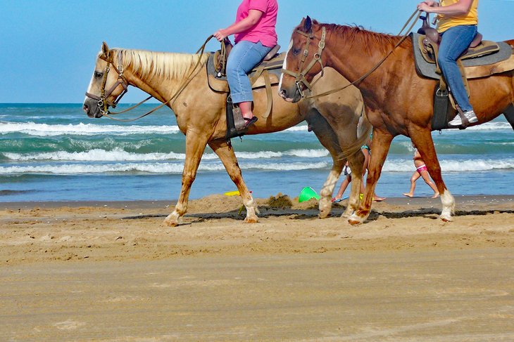 Things To Do In South Padre Island Texas